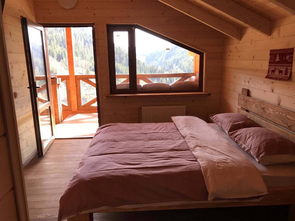 Гостевой дом Kozichky Guest House Татаров-22